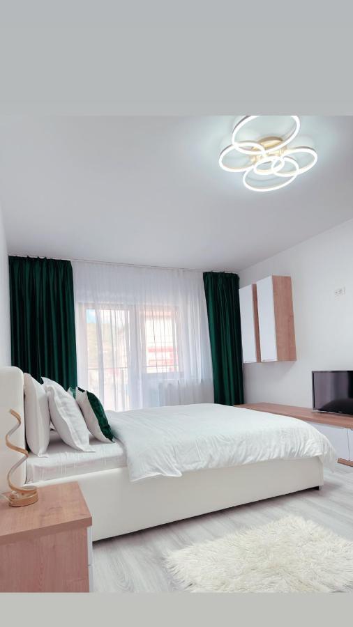 Scandinavia Apartment 1 Piatra Neamţ Exterior foto
